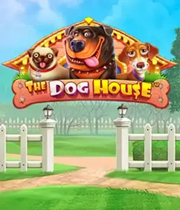 Experience Pragmatic Play's The Dog House adventure, offering a delightful adventure into the world of charming canines. Enjoy features such as sticky wilds, designed for providing entertaining gameplay. Ideal for pet lovers a cheerful atmosphere with a chance for big wins.